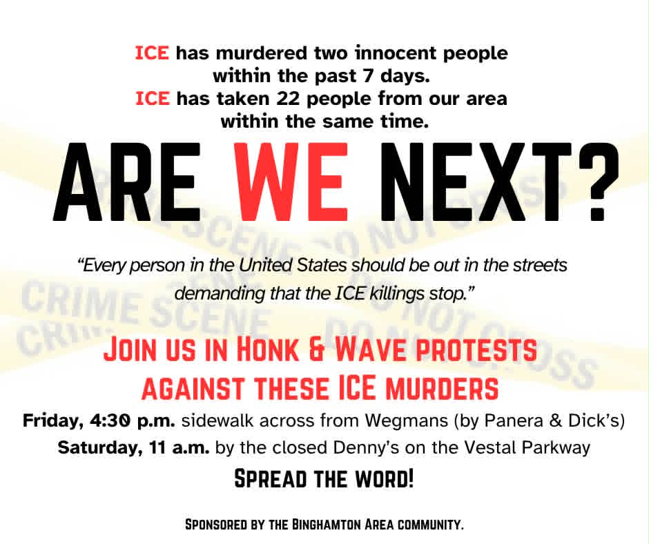Bring signs and friends to our weekly protests — Fri, Aug 7 at 4:30pm (Wegmans) and Sat, Aug 8 at 11am (Vestal). This week's focus is ICE.